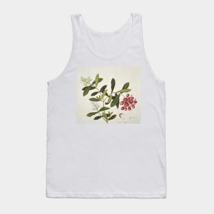 Botanical illustration (C010/8135) Tank Top